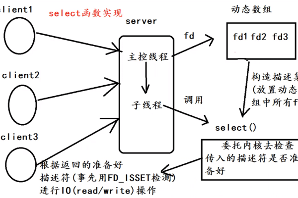 如何在Linux C编程中使用select函数进行I/O多路复用？  第1张