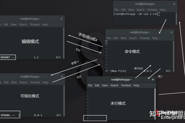 如何在Linux终端中使用vi编辑器？