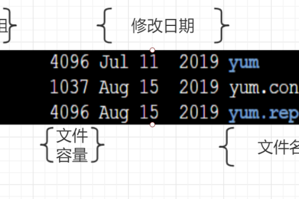 Linux系统中的data目录是什么？它有哪些用途和特点？  第1张