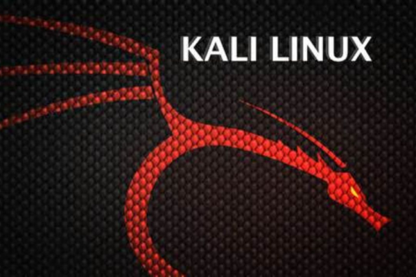 如何获取Kali Linux镜像？