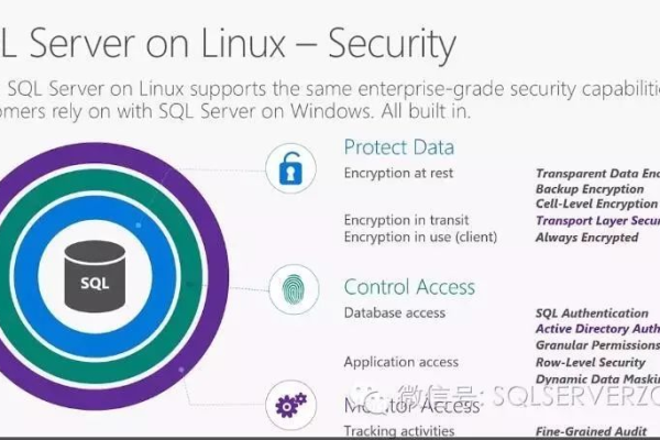 如何在Linux系统中高效使用SQL命令进行数据库管理？