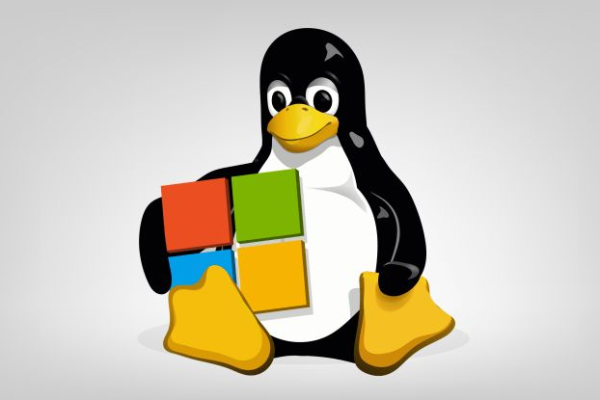 如何在Linux系统上成功运行ASP应用程序？