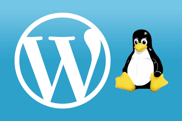 如何在Linux系统中安装WordPress？  第1张