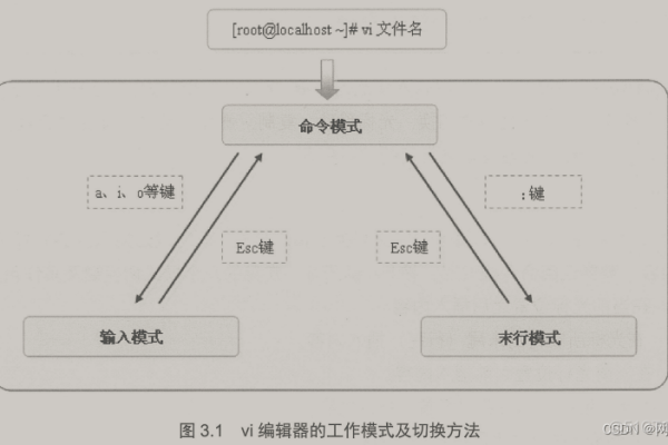 Linux vi 编辑器，如何高效进行文本编辑与操作？