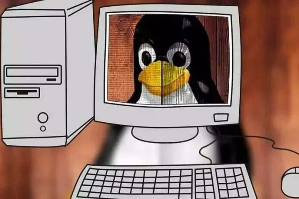 为何Linux系统下的网络速度会变慢？  第1张