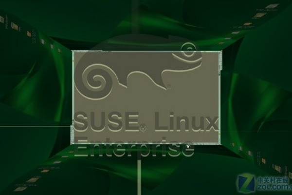 如何安装SUSE Linux 11？  第1张