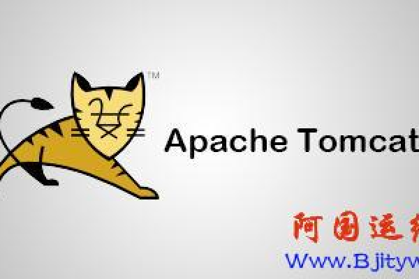 如何在Linux系统中查看Tomcat的状态和信息？