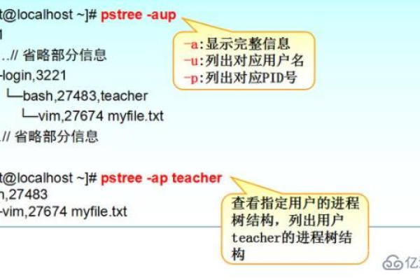 如何在Linux系统中查看进程信息？