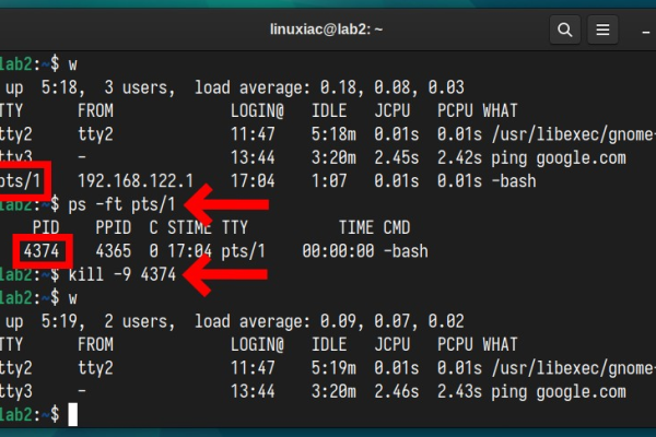 如何正确退出Linux登录会话？