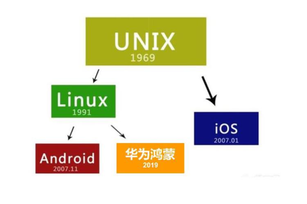 Linux版本之间有哪些显著的区别？