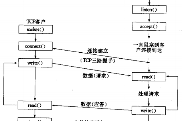 如何在Linux环境下使用C语言进行Socket编程？