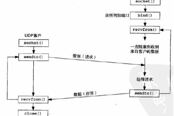 如何在Linux中使用UDP Socket进行C语言编程？