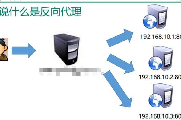 虚拟主机代理的设置过程是怎样的？