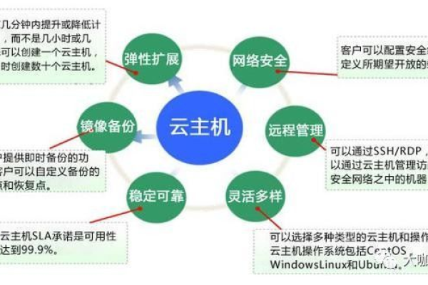 选购云主机时，有哪些关键问题需要注意？