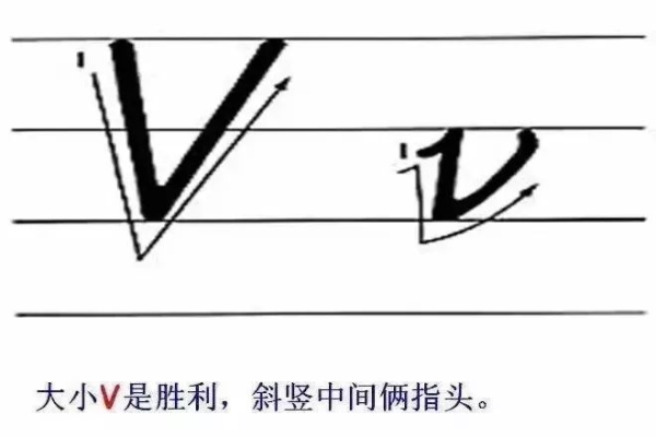 V的大小写形式分别是什么？