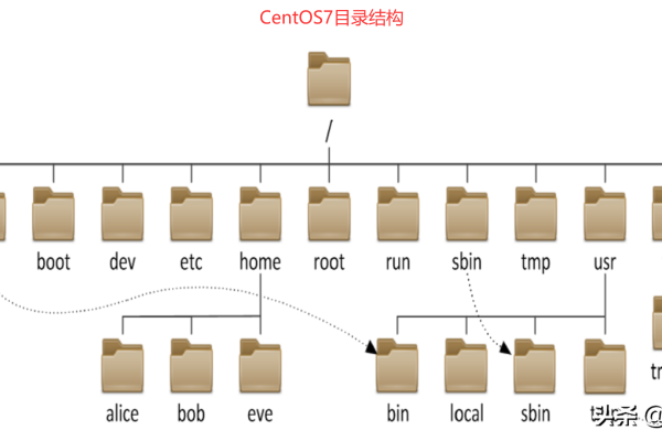 如何有效管理服务器根目录？