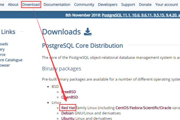 如何在cPanel/WHM服务器上成功安装PostgreSQL？  第1张