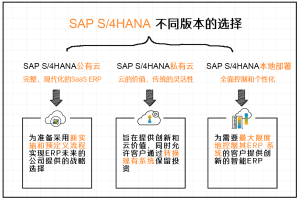 如何配置SAP S/4HANA服务器以利用免费的虚拟主机？