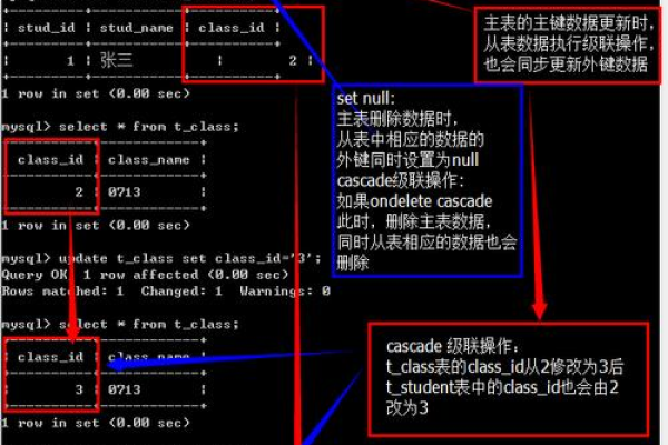 如何精确在指定路径下创建MySQL数据库？  第1张