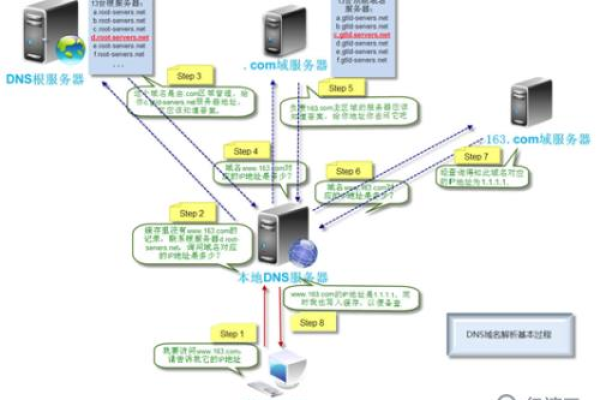 如何在Linux系统中获取并配置DNS信息？