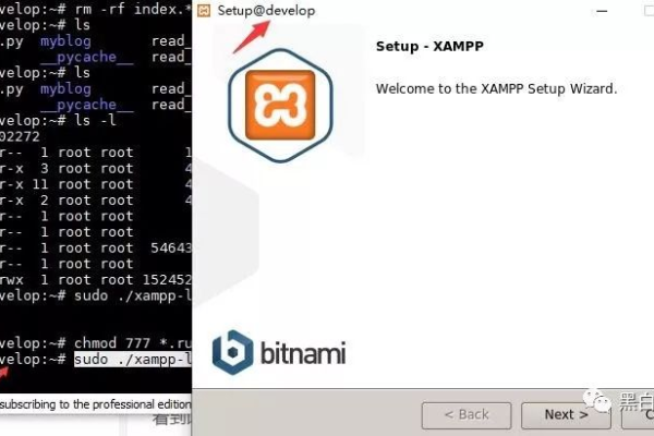 如何在Linux系统上下载和安装XAMPP？