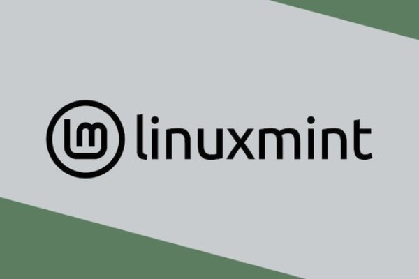 如何进行Mint Linux系统的升级？