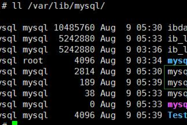 如何在Linux系统下进行MySQL数据库的还原操作？