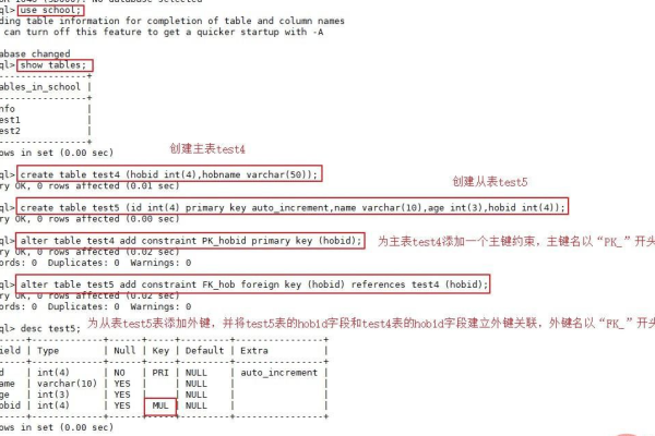 Doris MySQL命令简介，如何高效掌握MySQL的基础知识？  第1张