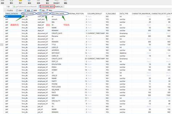 如何用MySQL查询获取数据库中记录的总数？  第1张