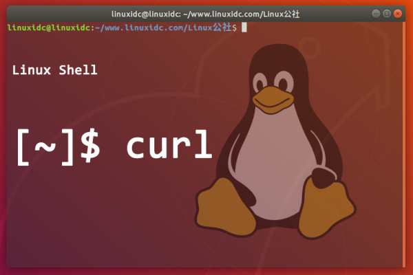 如何在Linux系统下编译curl工具？