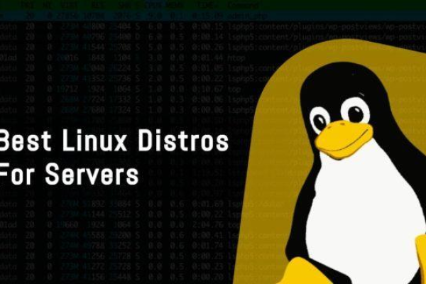 寻找最佳Linux系统？这里有你不可错过的推荐！