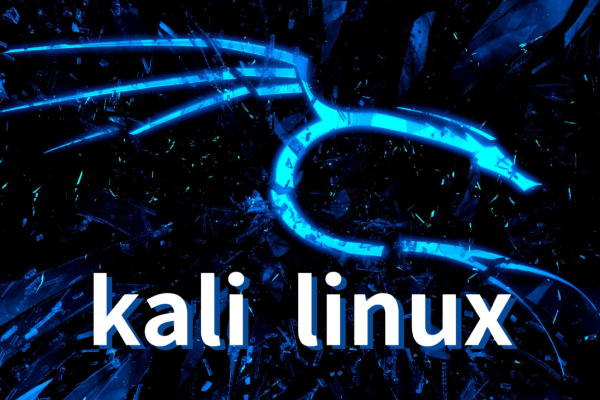 探索Kali Linux，有哪些值得推荐的书籍？  第1张