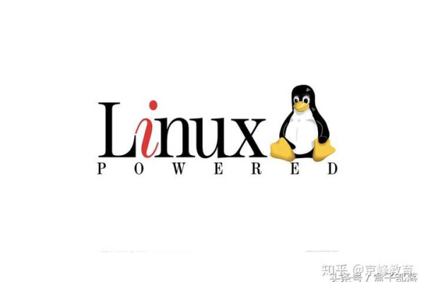 如何在Linux系统中下载图片？