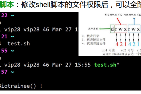 如何在Linux系统中编写Shell脚本？