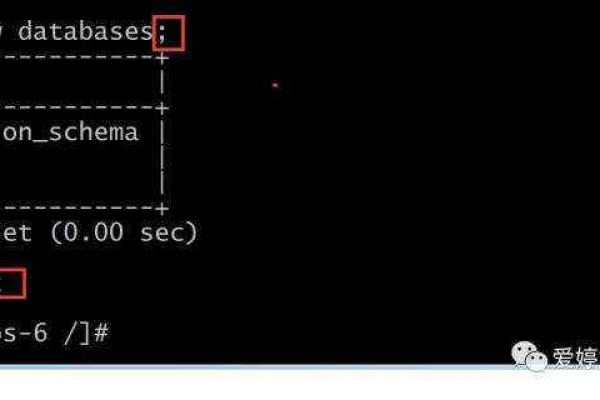 如何在MySQL中初始化数据库？