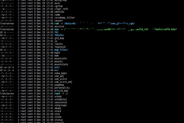 如何在Linux系统中查看目录内容？