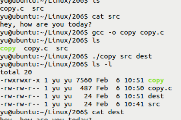 如何在Linux系统中高效使用cp命令复制文件和目录？