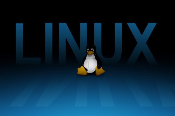 如何在Linux系统中安装新字体？