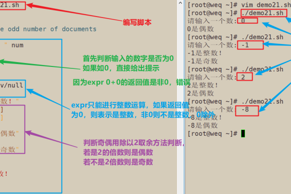 如何在Linux Bash脚本中使用if语句进行条件判断？