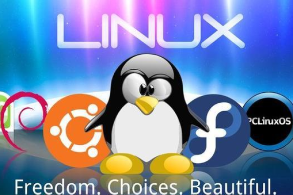 Linux 能做什么，探索这个开源操作系统的无限可能