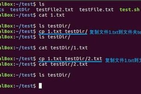 Linux中的cp命令是什么？如何使用？