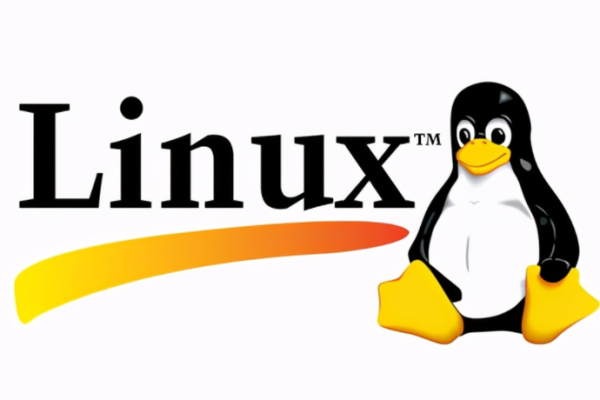 Linux服务器为何会被载入？如何防范？