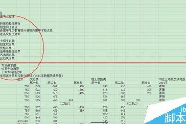 如何在Excel中高效导入数据？