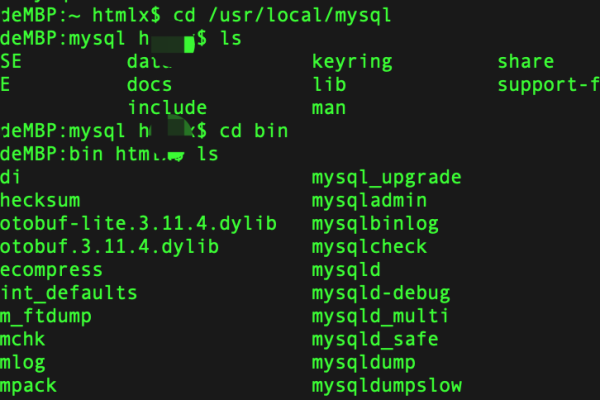 如何正确设置MySQL数据库的环境变量？