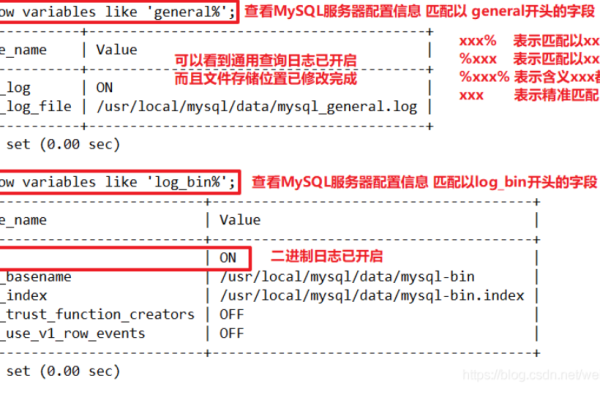 如何有效查询MySQL数据库数量及其错误日志？