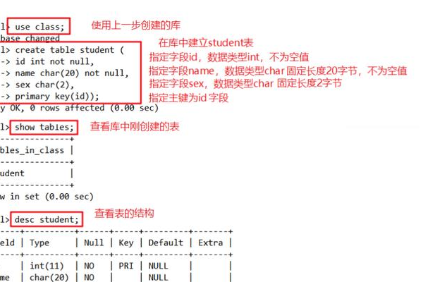 MySQL数据库中有哪些关键字是必须掌握的？