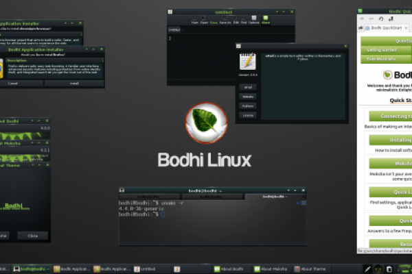 Linux Bodhi是什么？探索其特性与用途