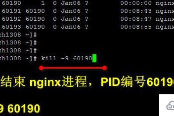 PPID在Linux系统中扮演着怎样的角色？  第1张