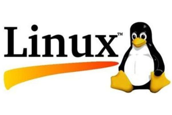 Amule Linux是什么？探索这款Linux发行版的独特之处！