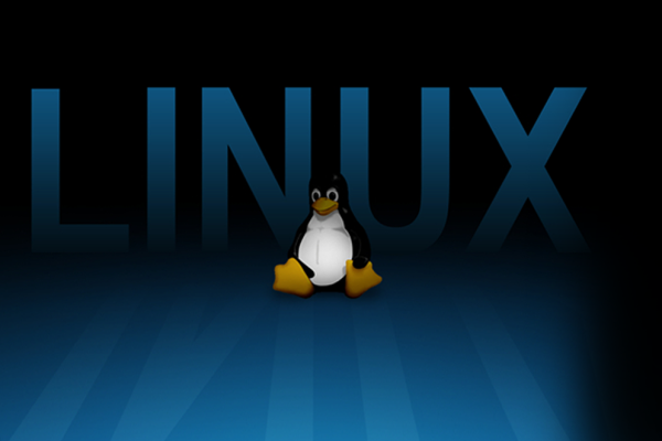 什么是AMR Linux？探索这一独特Linux发行版的特点与用途